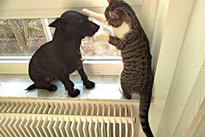 Defro Komfort Ekopell 25 kW mit Scheitholzfunktion - GEMA Shop